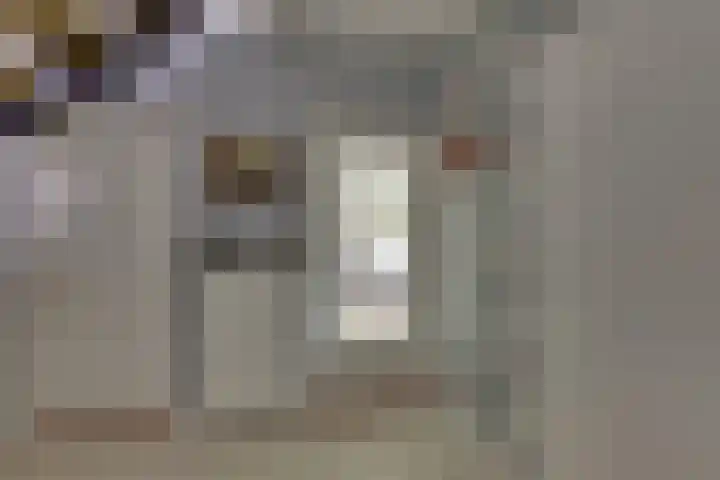 Meidoornlaan 5 Dalfsen thumbnail 7