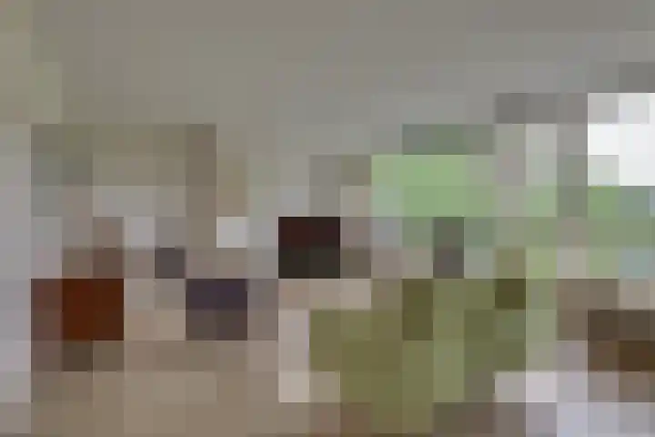 Meidoornlaan 5 Dalfsen thumbnail 8