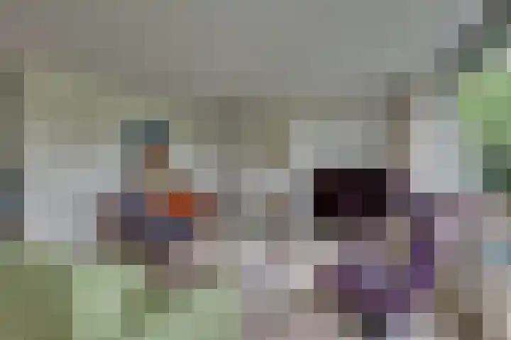 Meidoornlaan 5 Dalfsen thumbnail 9