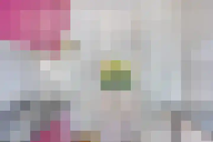 Meidoornlaan 5 Duiven thumbnail 11