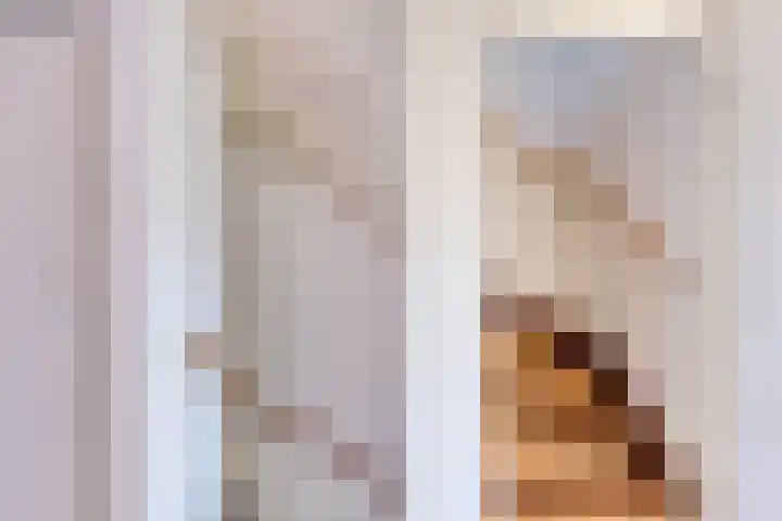 Meidoornlaan 5 Duiven thumbnail 12