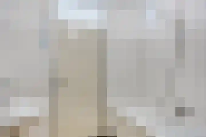 Meidoornlaan 5 Duiven thumbnail 16