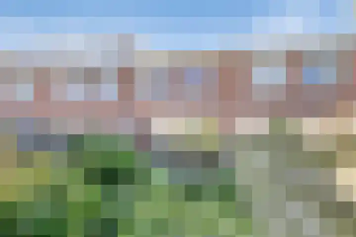 Meidoornlaan 5 Duiven thumbnail 22