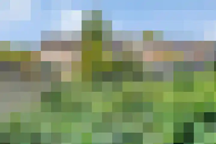 Meidoornlaan 5 Duiven thumbnail 24