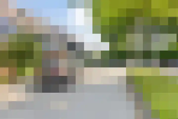 Meidoornlaan 5 Duiven thumbnail 26