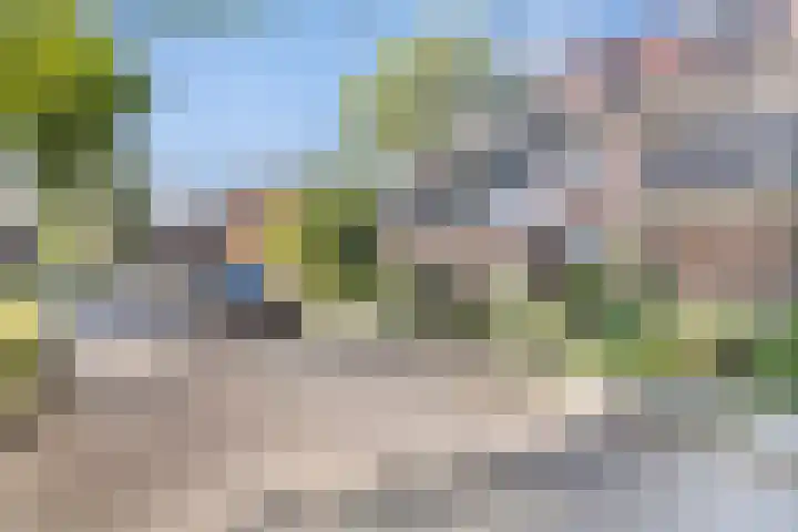Meidoornlaan 5 Duiven thumbnail 27