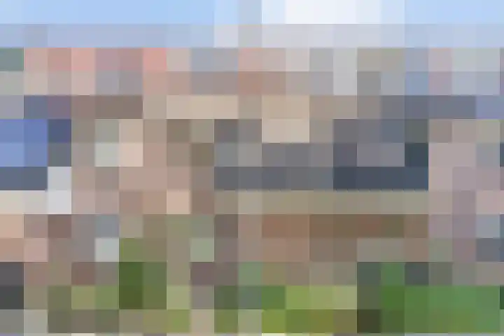 Meidoornlaan 5 Duiven thumbnail 28