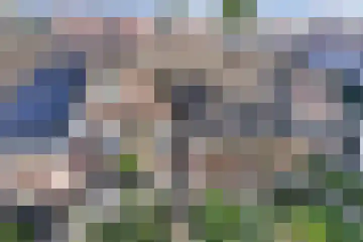 Meidoornlaan 5 Duiven thumbnail 29
