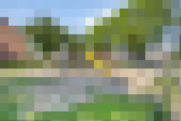 Meidoornlaan 5 Duiven thumbnail 32