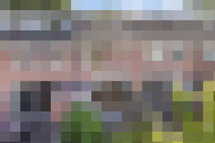 Meidoornlaan 5 Duiven thumbnail 4
