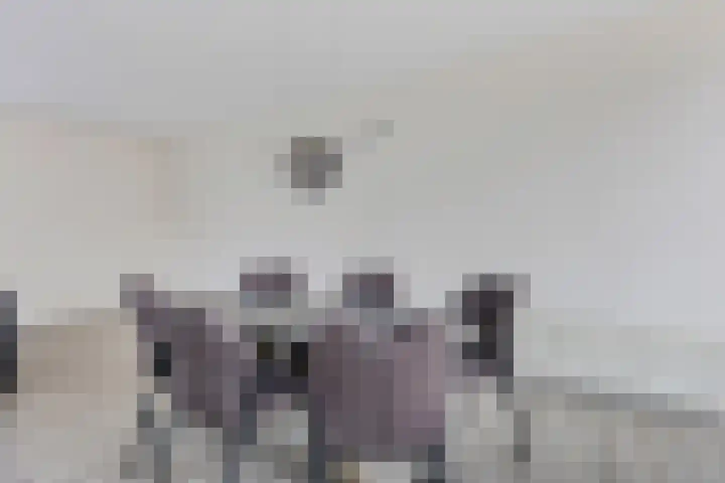 Meidoornlaan 5 Nieuw-Buinen thumbnail 13