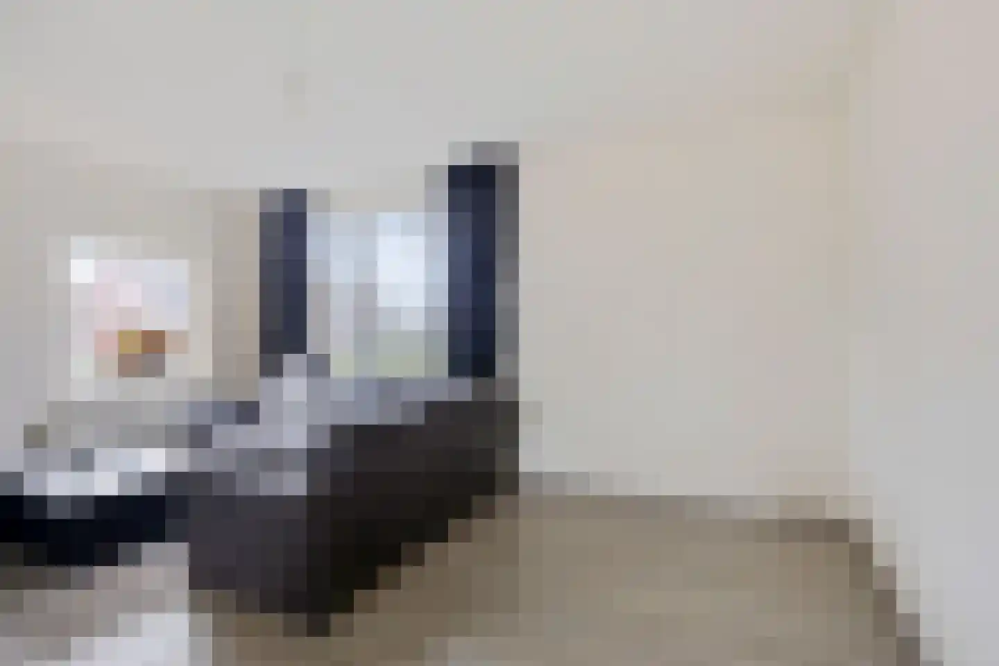 Meidoornlaan 5 Nieuw-Buinen thumbnail 14