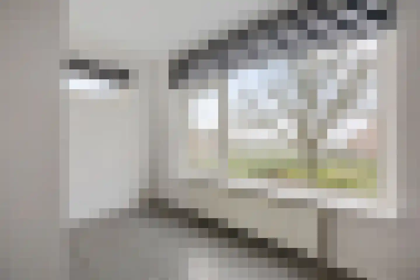 Meidoornlaan 5 Nieuw-Buinen thumbnail 22