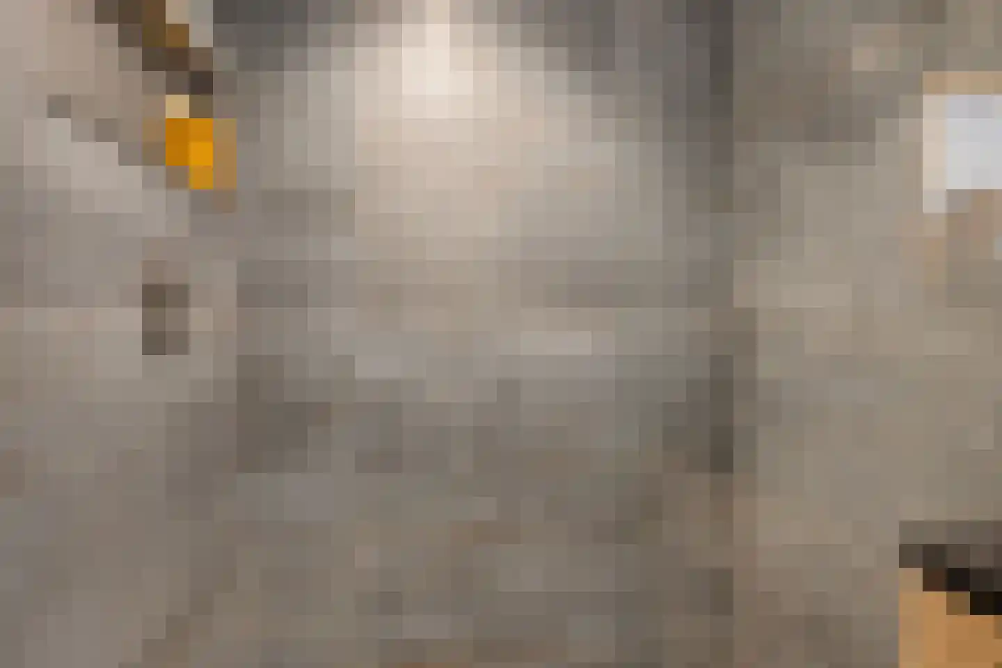 Meidoornlaan 5 Nieuw-Buinen thumbnail 34