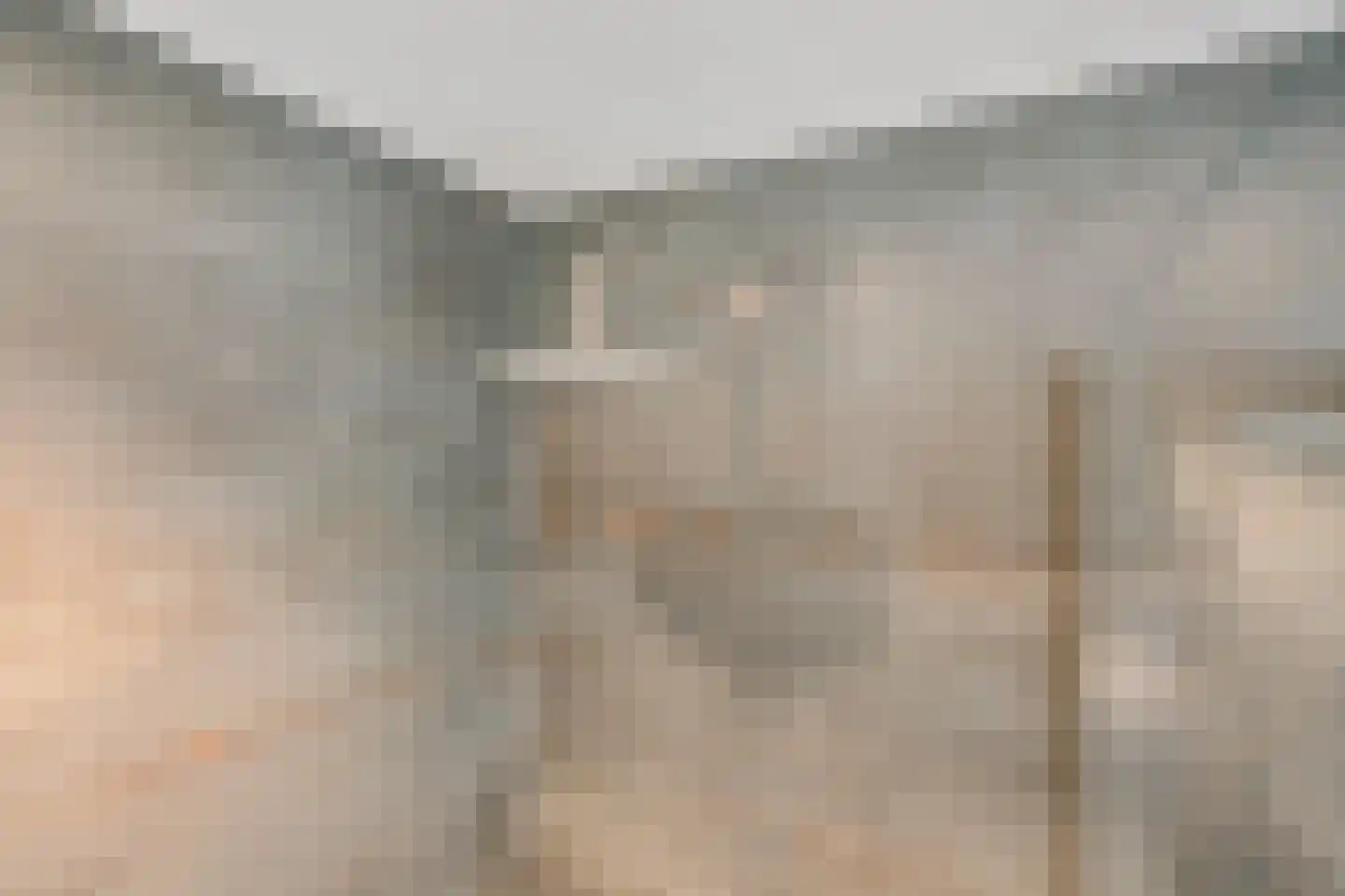 Meidoornlaan 5 Nieuw-Buinen thumbnail 35