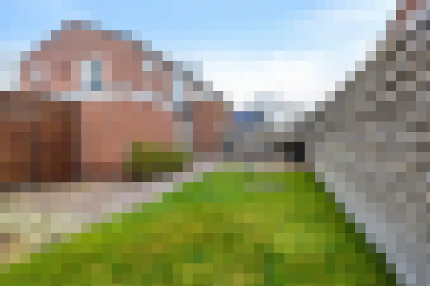 Meidoornlaan 5 Nieuw-Buinen thumbnail 39