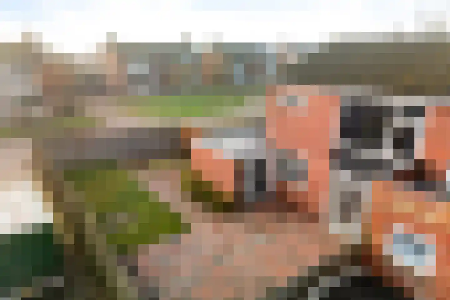 Meidoornlaan 5 Nieuw-Buinen thumbnail 44