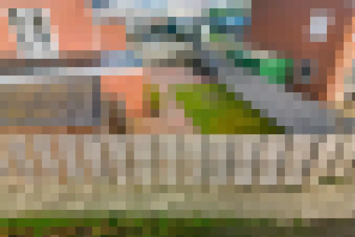 Meidoornlaan 5 Nieuw-Buinen thumbnail 45