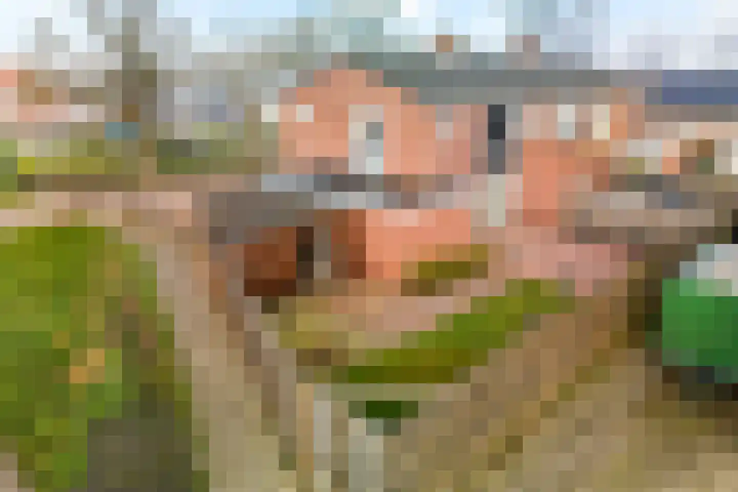 Meidoornlaan 5 Nieuw-Buinen thumbnail 46