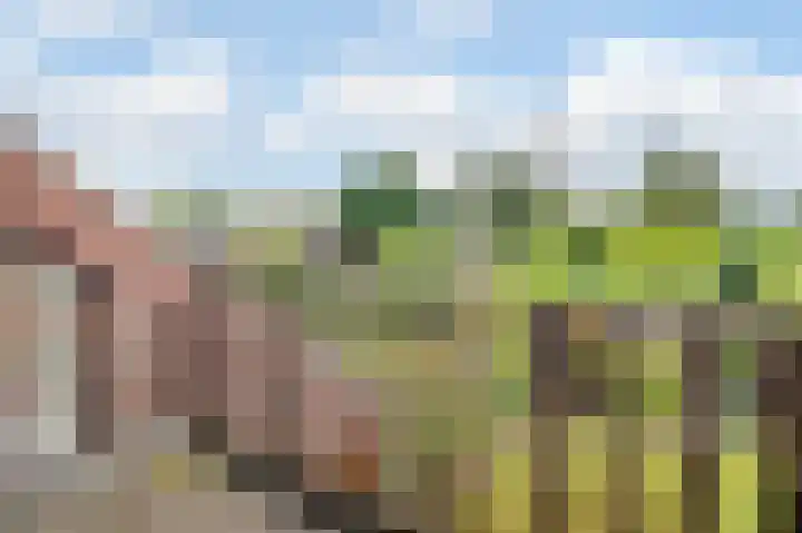 Meidoornlaan 5 Oudorp thumbnail 25