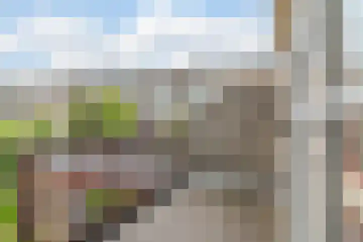 Meidoornlaan 5 Oudorp thumbnail 26