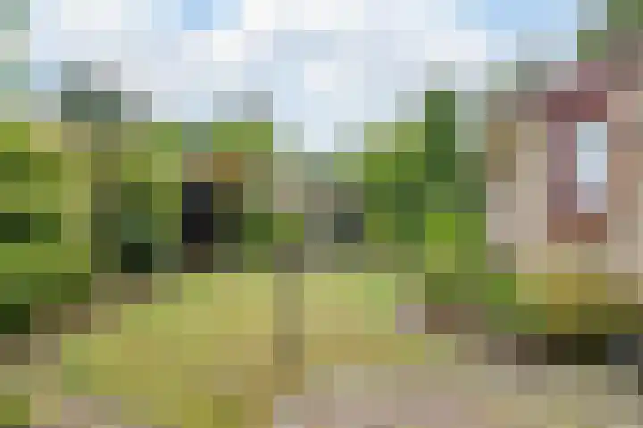 Meidoornlaan 5 Oudorp thumbnail 35