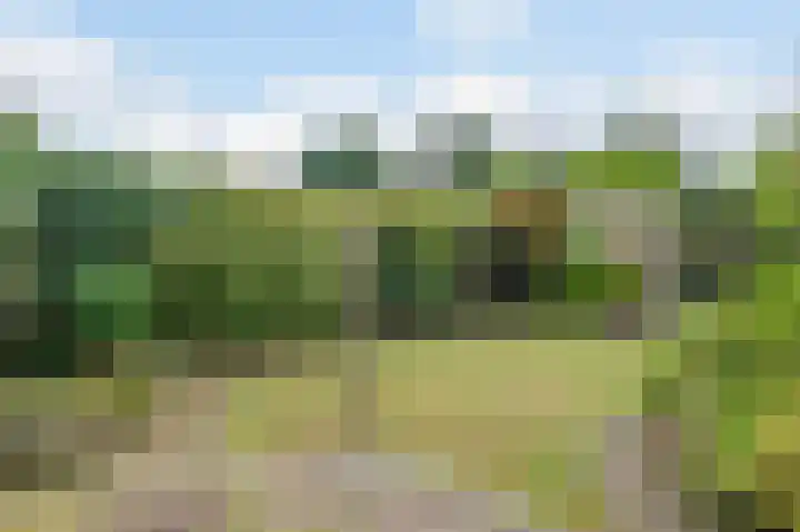 Meidoornlaan 5 Oudorp thumbnail 36