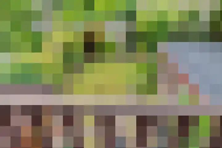 Meidoornlaan 5 Oudorp thumbnail 37