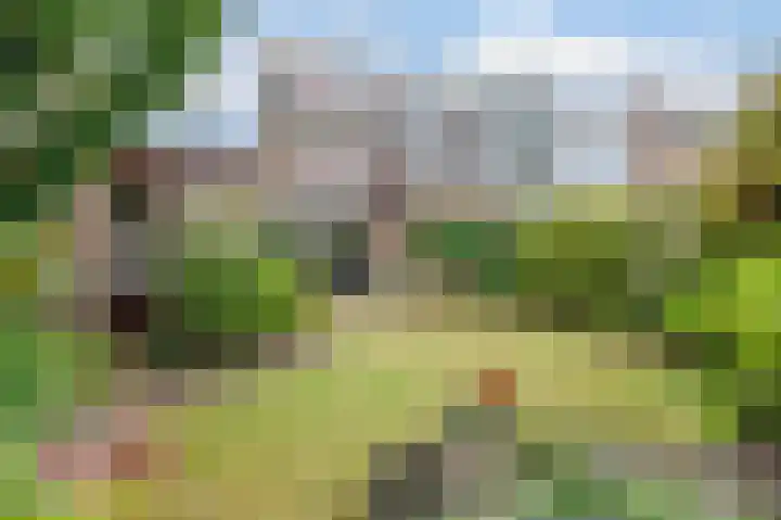 Meidoornlaan 5 Oudorp thumbnail 38