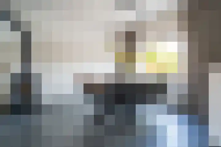 Meidoornlaan 5 Vuren thumbnail 12