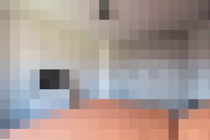 Meidoornlaan 5 Vuren thumbnail 18