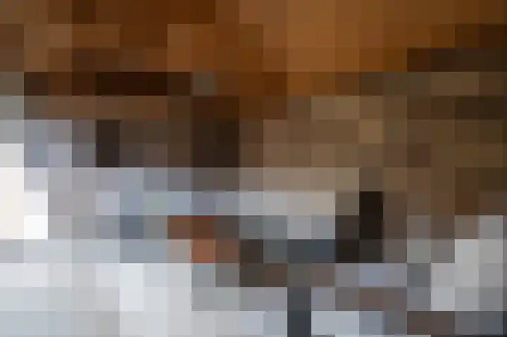 Meidoornlaan 5 Vuren thumbnail 27