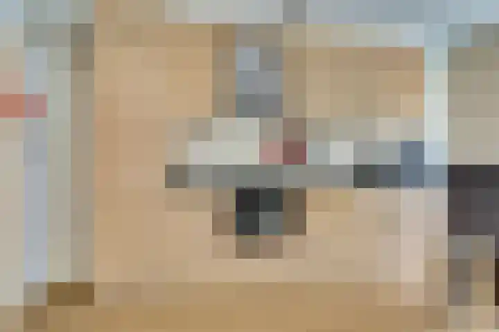 Meidoornlaan 59 Dieren thumbnail 12