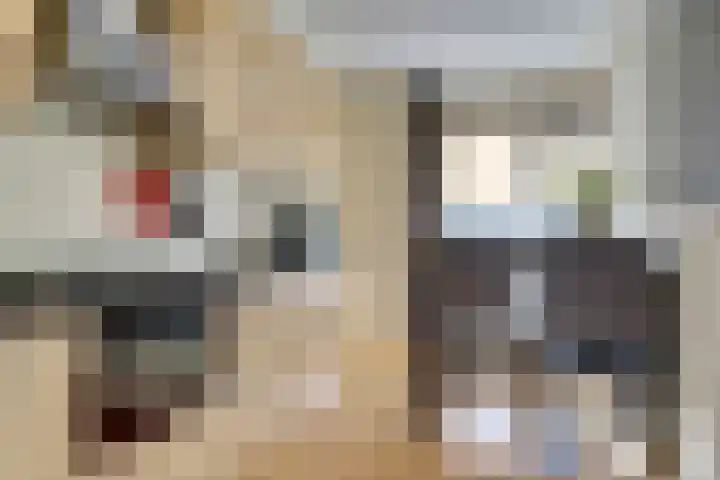 Meidoornlaan 59 Dieren thumbnail 13
