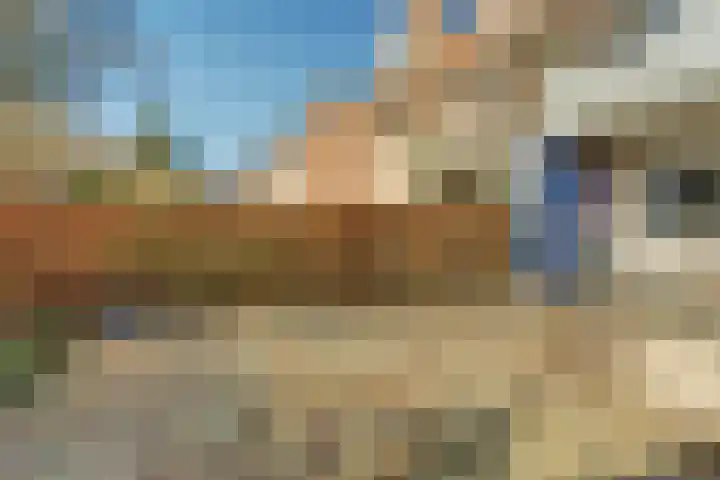 Meidoornlaan 59 Dieren thumbnail 24