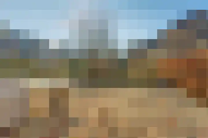 Meidoornlaan 59 Dieren thumbnail 26