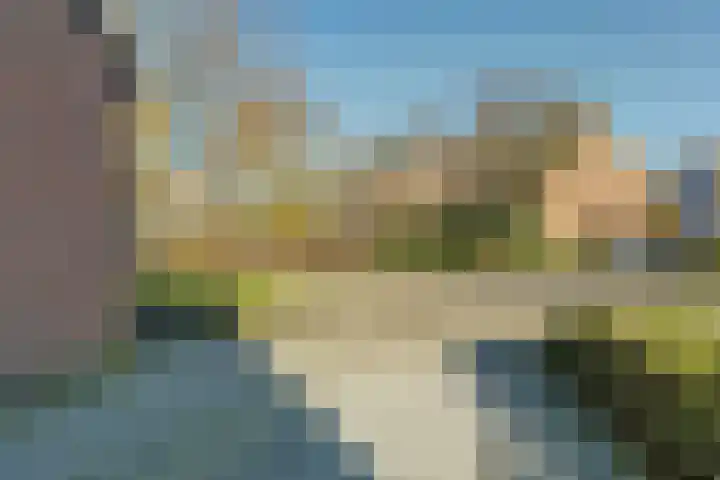 Meidoornlaan 59 Dieren thumbnail 28