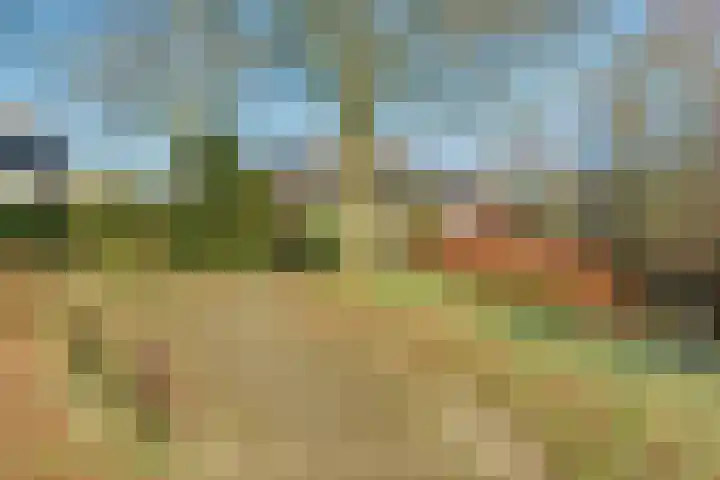 Meidoornlaan 59 Dieren thumbnail 29