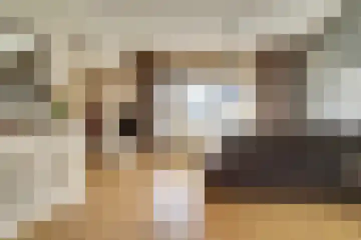 Meidoornlaan 59 Dieren thumbnail 4