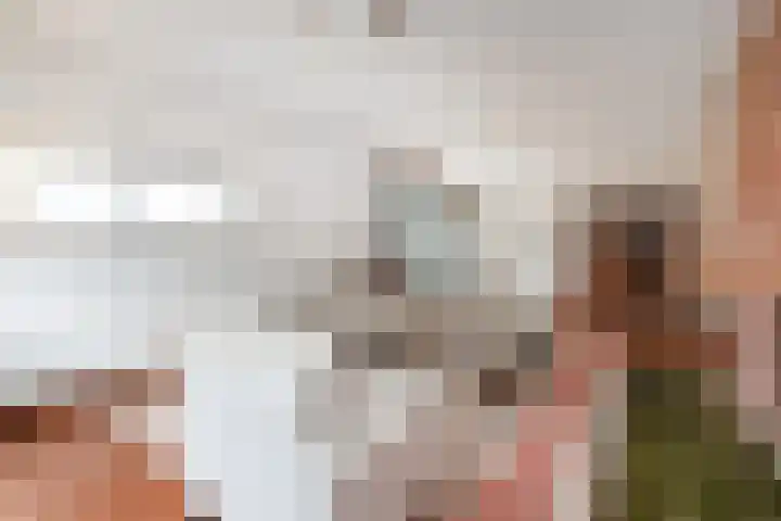 Meidoornlaan 59 Nootdorp thumbnail 13
