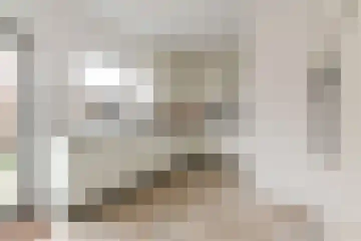 Meidoornlaan 59 Nootdorp thumbnail 18