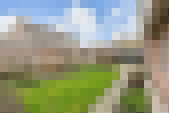 Meidoornlaan 59 Nootdorp thumbnail 21