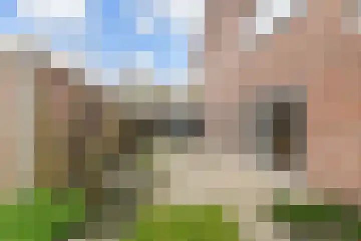 Meidoornlaan 59 Nootdorp thumbnail 22