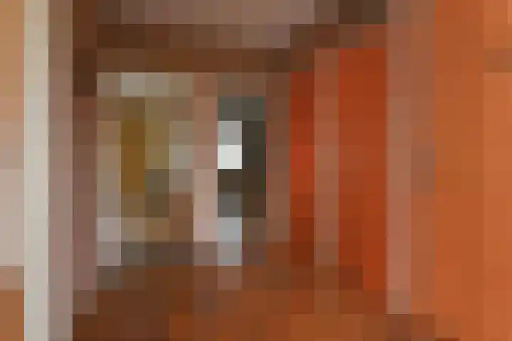 Meidoornlaan 59 Nootdorp thumbnail 24