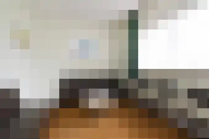 Meidoornlaan 59 Nootdorp thumbnail 25