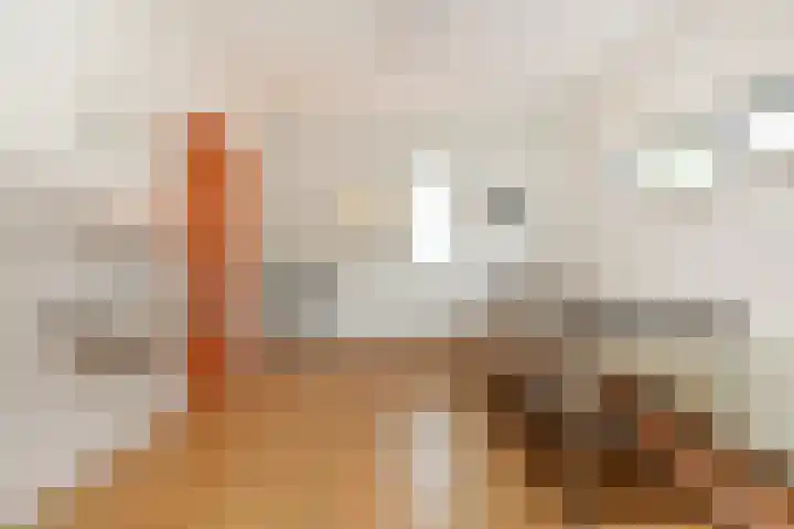 Meidoornlaan 59 Nootdorp thumbnail 31