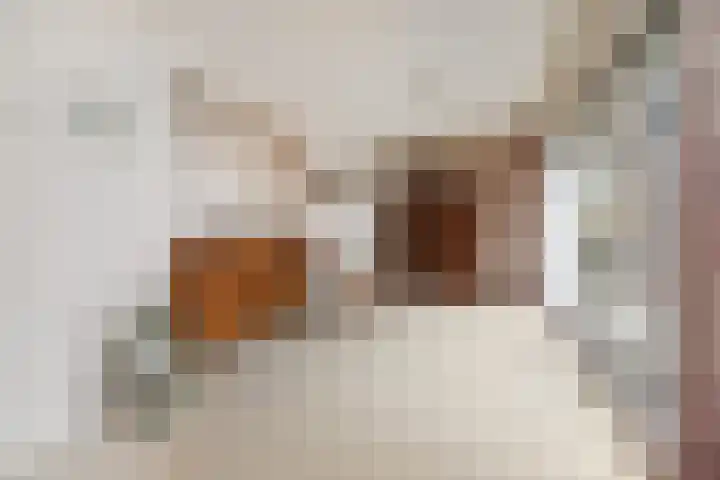 Meidoornlaan 59 Nootdorp thumbnail 38