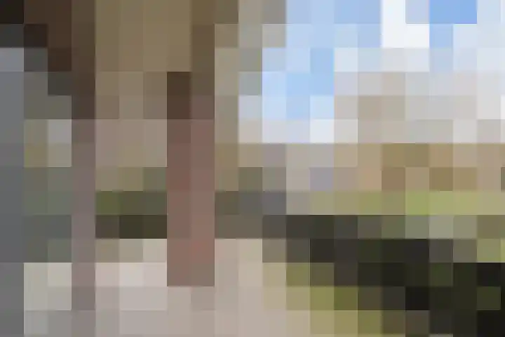 Meidoornlaan 59 Nootdorp thumbnail 40