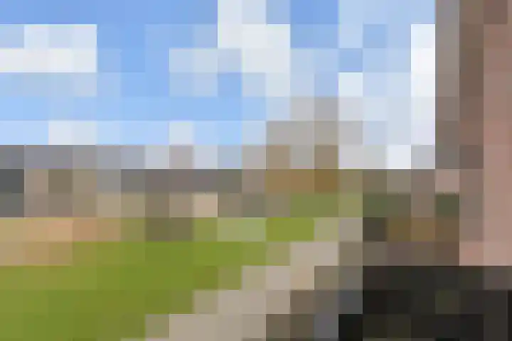 Meidoornlaan 59 Nootdorp thumbnail 41