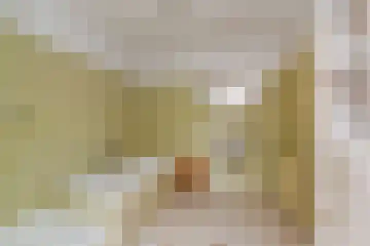 Meidoornlaan 59 Nootdorp thumbnail 42